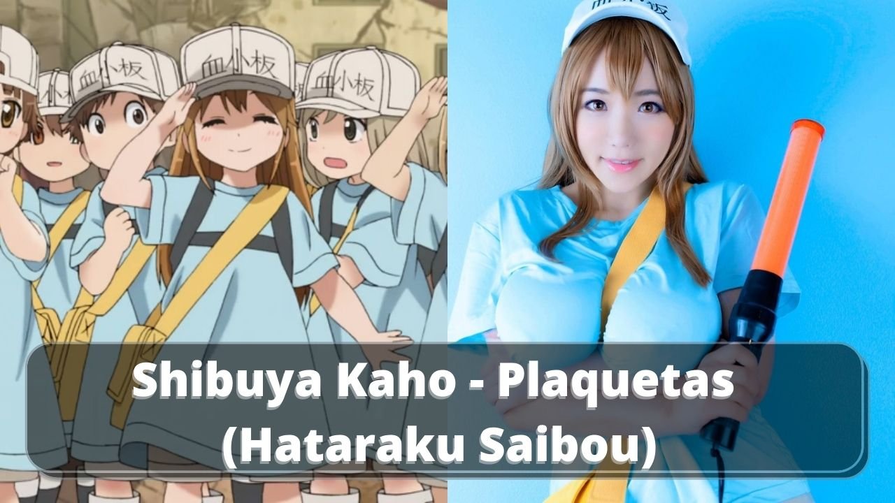 Cosplay da Plaquetas: Veja esse Cosplay Adulto de Hataraku Saibou - Manga  Livre RS